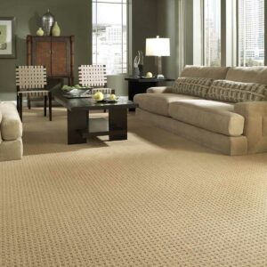 Living room soft carpet | Premiere Home Center
