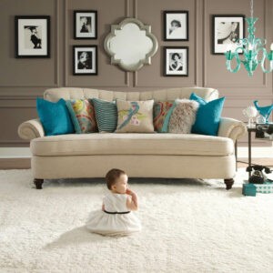 Living room soft carpet | Premiere Home Center