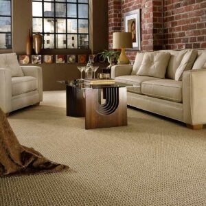 Livingroom carpet | Premiere Home Center