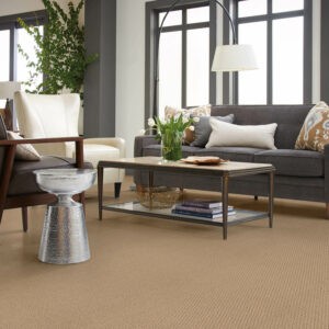 Living room carpet | Premiere Home Center