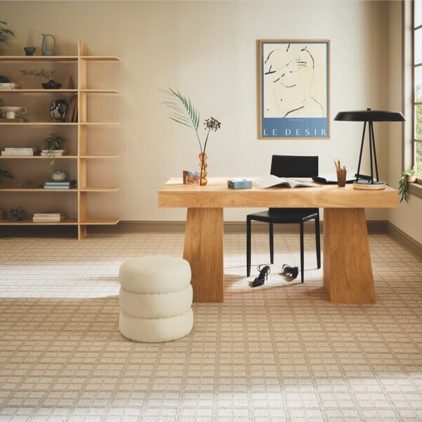Office Carpet | Premiere Home Center